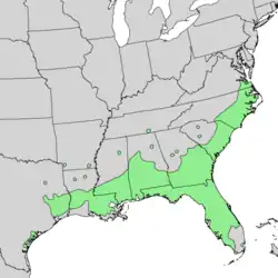 Distribución natural de Quercus laurifolia