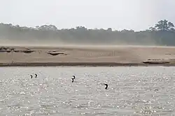 Vista de la orilla del río en el lado boliviano.
