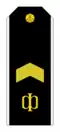 Insignia de rango de Starshiná Jefe de la Armada Rusa.