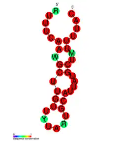 CRISPR-DR65: Estructura secundaria tomada de la base de datos Rfam Familia RF01378.