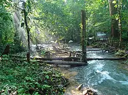 Crossing of rivers near the Lacandon camps.
