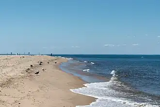 Playa en Race Point, Massachusetts, Estados Unidos.