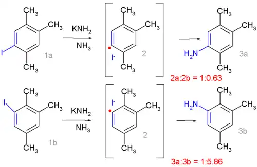 Radical-nucleophilic sustitución aromática Bunnett 1970