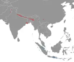 Distribución de Mus cervicolor. Rojo - Existente (residente)