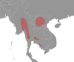 rango de distribución del Mus Shortridgei en rojo