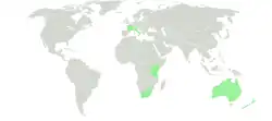 ¨Distribución de S. angulatus