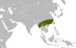 Distribución mundial de Bungarus multicinctus.