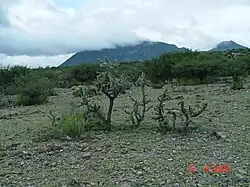 Valle de Tasquillo al oeste del estado.