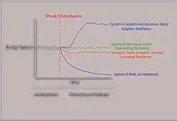 Gráfica con la evolución de varios sistemas