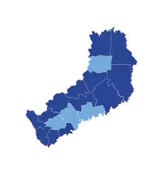 Elecciones provinciales de Misiones de 2007