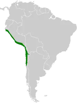 Distribución geográfica del colibrí del Atacama