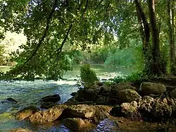 Zona natural de la ribera