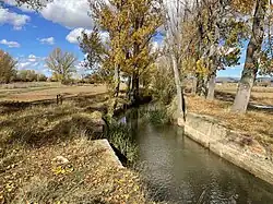 Río Jiloca a su paso por Santa Eulalia del Campo