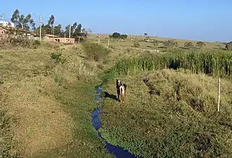 Río Nuevo, en Itatinga, bien próximo de su naciente