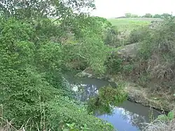 Río Sucio, el cual nace en Zapotitán