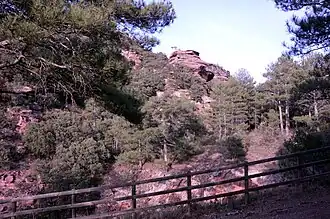 Paisaje de montaña en el paraje Los Amanaderos de Riodeva (Teruel), 2017.