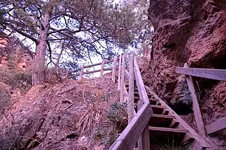 Paisaje de montaña en el paraje Los Amanaderos de Riodeva (Teruel), detalle de tramo de escaleras (2017).