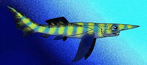 Rolfosteus canningensis (Placodermo)