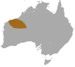 Mapa de distribución de Pseudantechinus roryi