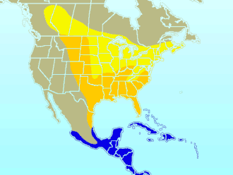 Distribución en Norte y Centroamérica. Amarillo: Época de anidación Naranja: Todo el año Azul: Invierno