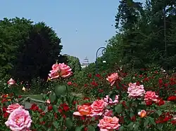 La naturaleza del parque.