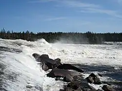 Primer plano de los rápidos Oatmeal