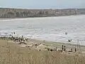 El embalse en la primavera, con bañistas en las playas