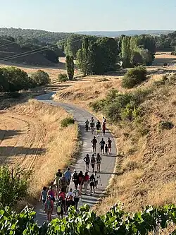 Ruta por el Tajuña. Renales