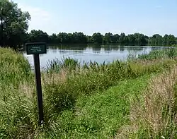 Una de las lagunas laterales abandonadas por el Óder en Rychvald, distrito de Karviná