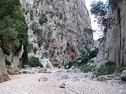 Torrent de Pareis
