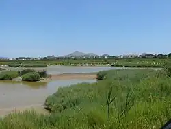 Albufera de Mallorca