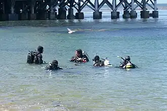 Clases de buceo en la bahía, cerca de Monterrey