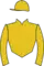 Horse racing silks