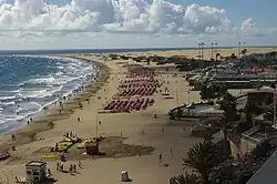 Sebadales de Playa del Inglés