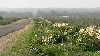Sahel, con camino de escalada anticlinal