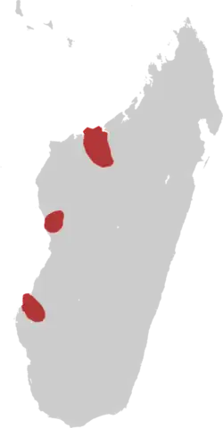 Distribución geográfica de la polluela negra malgache.