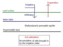 Salinización del suelo en terreno sin acuífero importante y con pobre drenaje subterráneo.