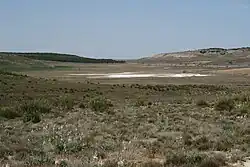 Estepas salinas de Toledo