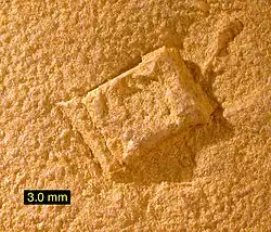 Tolva de cristal de halita fundido en una roca jurásica, encontrado en la formación Carmel, Utah