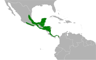Distribución geográfica del pepitero cabecinegro.