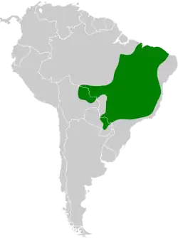 Distribución geográfica del pepitero de corbata.