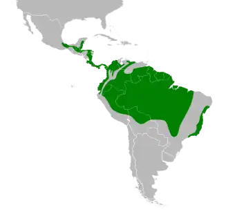 Distribución geográfica del pepitero gorjicanelo.