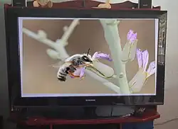 Un Samsung PN50B450 de Plasma de 50 pulgadas HDTV, un ejemplo de televisor de Plasma moderno..