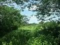 Vista de la hacienda de San Antonio Sahcitán.
