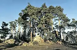 Ruinas del inmueble en diciembre de 1974