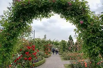 El Europa-Rosarium en Sangerhausen Alemania.