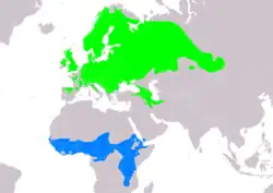 Distribución de Saxicola rubetra