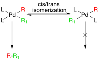 Generation of active species via cis/trans isomerism