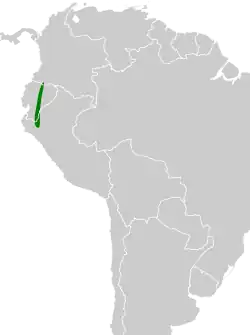 Distribución geográfica del llorón submontano.