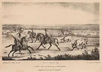 Ganado cerca de Buenos Aires